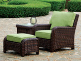 Outdoor Chairs and Ottomans