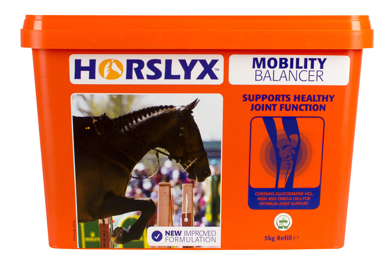 Lickstone Horslyx Garlic 5 Kg - Complément Minéral à Lècher Pour Chevaux Avec Ail - 8