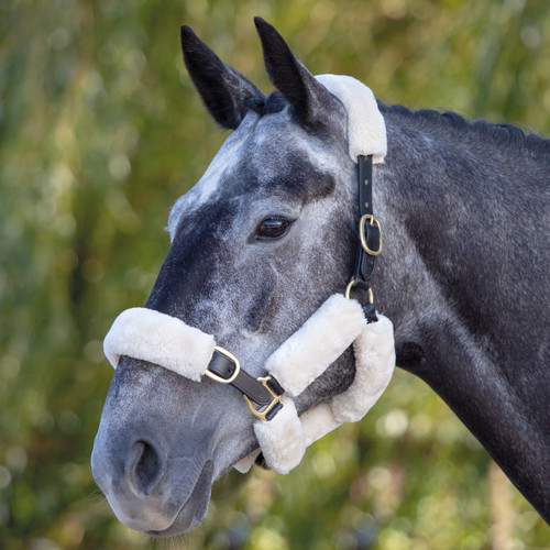 Feel it to believe it! SupaFleece looks like sheepskin, wears like sheepskin, washes better than sheepskin and dries super fast!

Upgrade the comfort of your horse’s headcollar with these soft Shires Performance SupaFleece Halter Fleece pieces. Attaches to each part of the headcollar with touch close fastenings to provide all round luxury.

Machine washable.

9 Piece sets are listed separately.

Headcollar not included.

Shires Performance SupaFleece Halter Fleeces (6 Piece) features:
Touch close fastenings
Machine washable
Headcollar not included