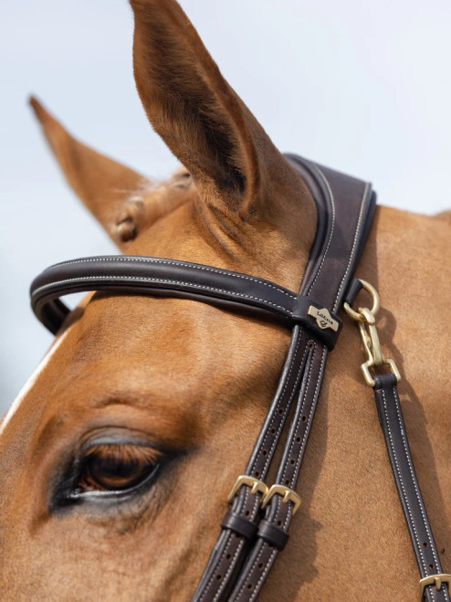 LeMieux Work Bridle