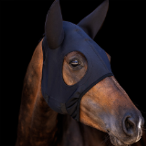 Titanium Hoods with Ears