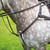 Shires 5 Point Breastplate