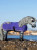 Mini Lemieux Pony Show Rug