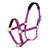 Topaz Nylon Headcollar