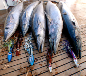 BahamaLure WAHOO Lure Kit BahamaLure WAHOO Lure Kit