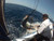 BahamaLure Europa BahamaLure Europa