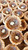 Pumpkin Pie Butter Tarts (Maids Cottage) Set of 6