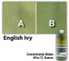 Water Reducible Concentrated (WRC) Concrete Stain - English Ivy 8oz