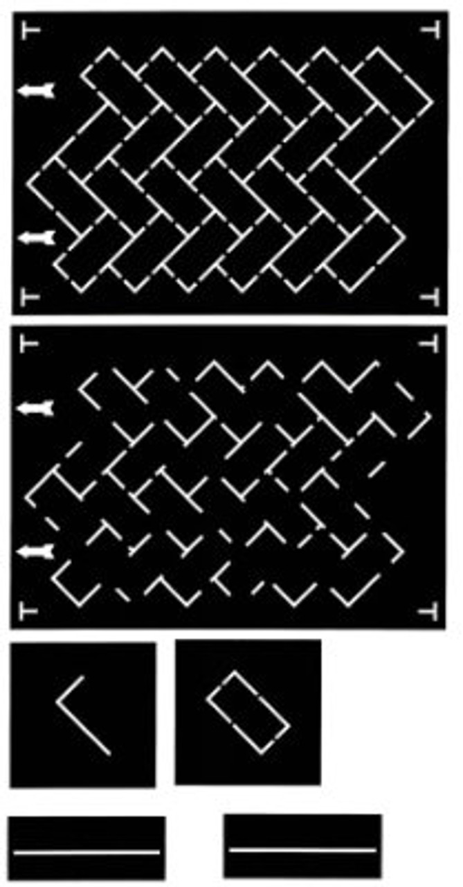 Traditional Brick Pattern Stencil