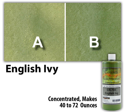 Water Reducible Concentrated (WRC) Concrete Stain - English Ivy 8oz