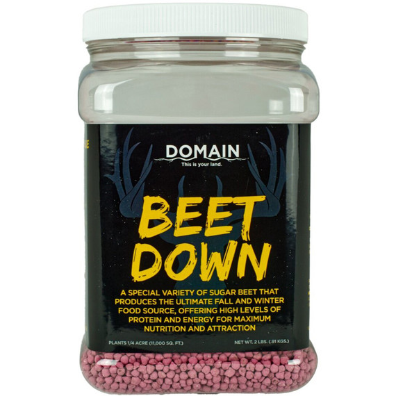 Domain Beet Down Seed 1/4 Acre