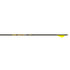 Gold Tip Hunter Pro Arrows 340 Raptor Vanes 6 Pk.