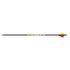 Gold Tip Force Foc Arrows 250 4 Fletch 6pk