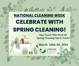 Unveiling the Origins of Spring Cleaning: Celebrating National Cleaning Week