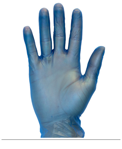 Standard Blue Vinyl Gloves, Powdered, Non-Medical, 100bx/10cs, Large