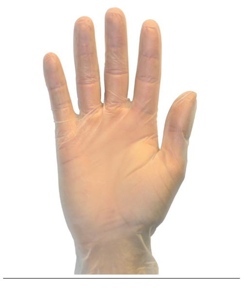 Clear Standard Powder Free Vinyl Gloves, 100/BX, 10BX/CS, L Clear Standard Powder Free Vinyl Gloves, 100/BX, 10BX/CS, L