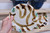 Two Random Grab Bag Pots: Matching Pair of Mugs, Cups, Bowls, Vases or Plates, Variety of Shapes and Sizes