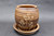 Collaborative Planter w/Tray, Roughly 7" tall and 7" wide Tray (SK0628)