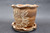 Sunflower Collaborative Planter w/Tray, Roughly 6.5" tall and 6.5" wide Tray (SK0630)