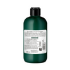 Shampoing Nutrition Abricot Collections Nature Eugène Perma 300ml