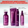 Shampooing Ultimate Color Wella Professionals 250 ml