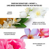 Money Shampoing Hydratant Color Wow 250 ml - hairStore.fr