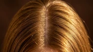Le sébum, meilleur ennemi de vos cheveux : ce qu'on apprend en CAP coiffure