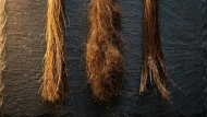 Cheveux secs, déshydratés ou abîmés : trois problèmes, trois solutions