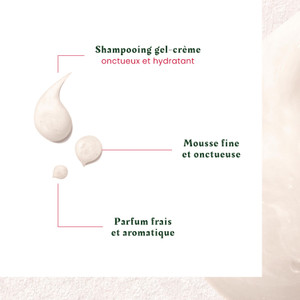Shampoing Antipelliculaire Cheveux Secs Neopur René Furterer 150ml