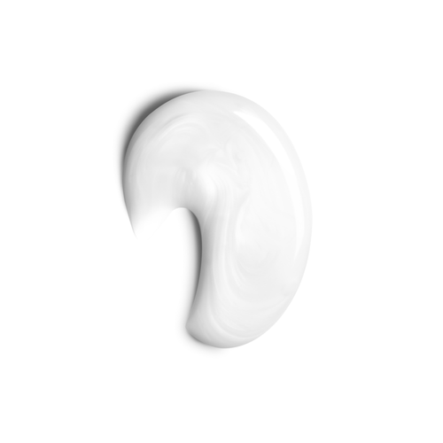 Penetraitt Shampoo Sebastian 1000ml