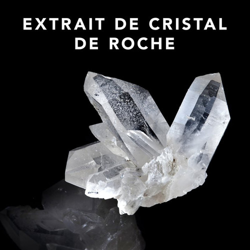 Trilliance Shampoo Sebastian 1000ml