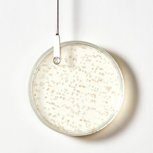 Shampooing Triphasic René Furterer 50ml