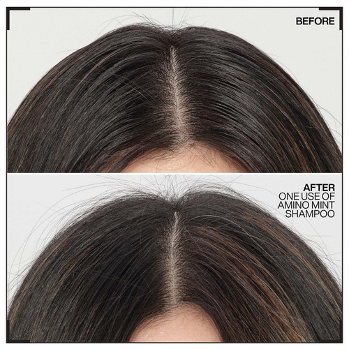 Shampoing Amino-Mint Redken 300ml