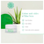 Crème Anti-Rides à L'Aloe Vera Arganicare 30ml