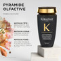 Bain Régénérant Chronologiste 250ml - hairStore.fr