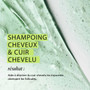 Shampooing System 2 - Naturels / Chute Avancée - Nioxin 300 ml
