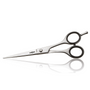 Ciseaux de Coupe 5" Iwasaki Steel - hairStore.fr