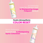 Poudre démaquillante Color Reset 500g - hairStore.fr