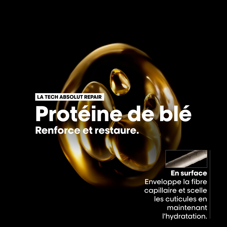 Absolut Repair Shampoing Réparateur Pour Cheveux Abîmés L'Oréal 500ml