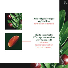 Masque Repulpant Démêlant Tonucia René Furterer 100ml
