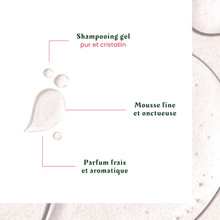 Shampoing Antipelliculaire Cheveux Gras Neopur René Furterer 150ml