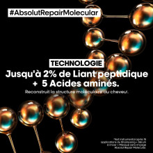 Shampooing Absolut Repair Molecular L'Oréal Professionnel 300 ml