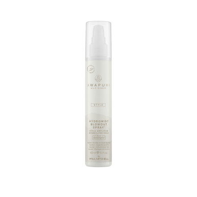 Spray HydroMist Blowout Paul Mitchell - Cheveux Abîmés - 150 ml