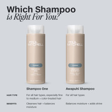 Shampooing ONE 300 ml - hairStore.fr