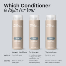 Après Shampoing sans rinçage Classic 300 ml - hairStore.fr