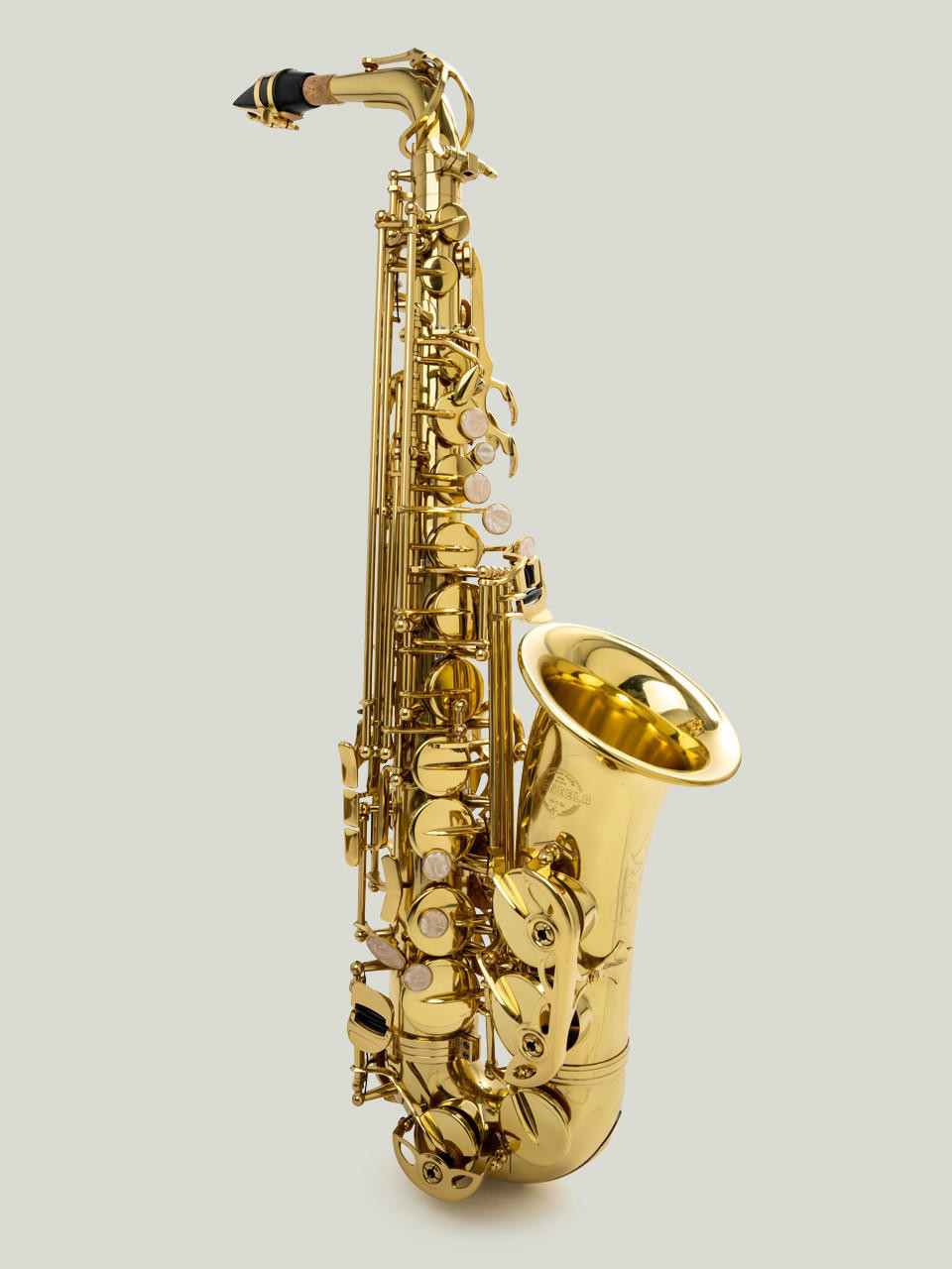 Beginner Alto Sax Beginner Saxophones McNeela Music