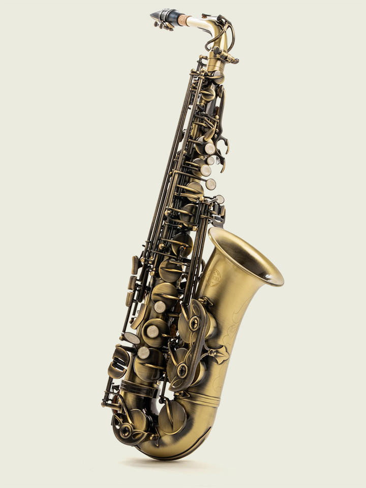 McNeela Antique Finish Beginner Alto Saxophone Set