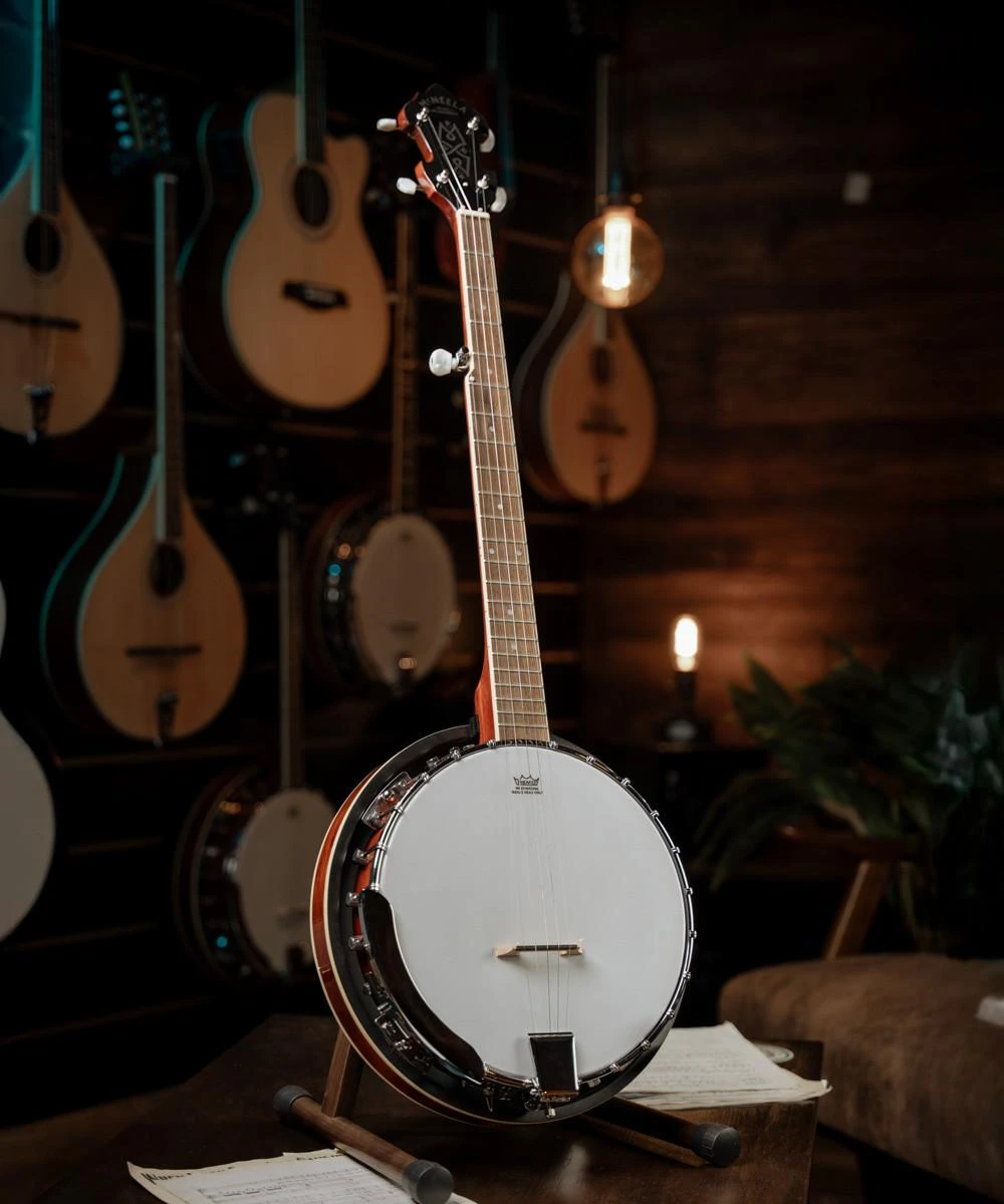 McNeela Renegade Banjo - 5 String McNeela Music