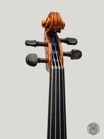 McNeela Virtuoso Violin