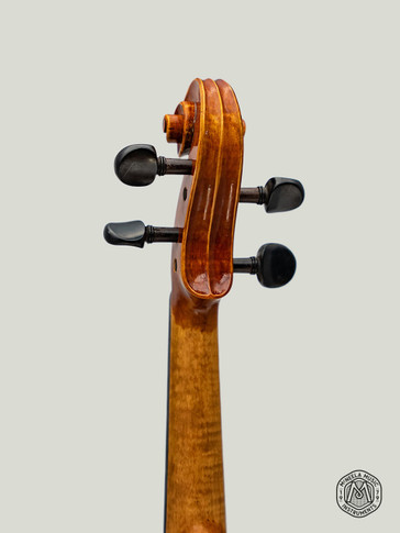 McNeela Virtuoso Violin
